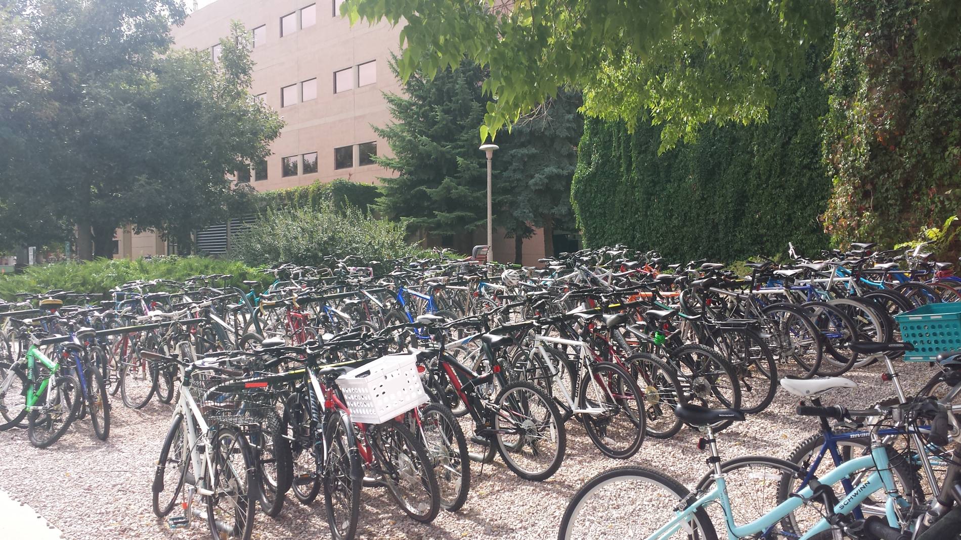 Bicycle Racks | Parking & Transportation Services